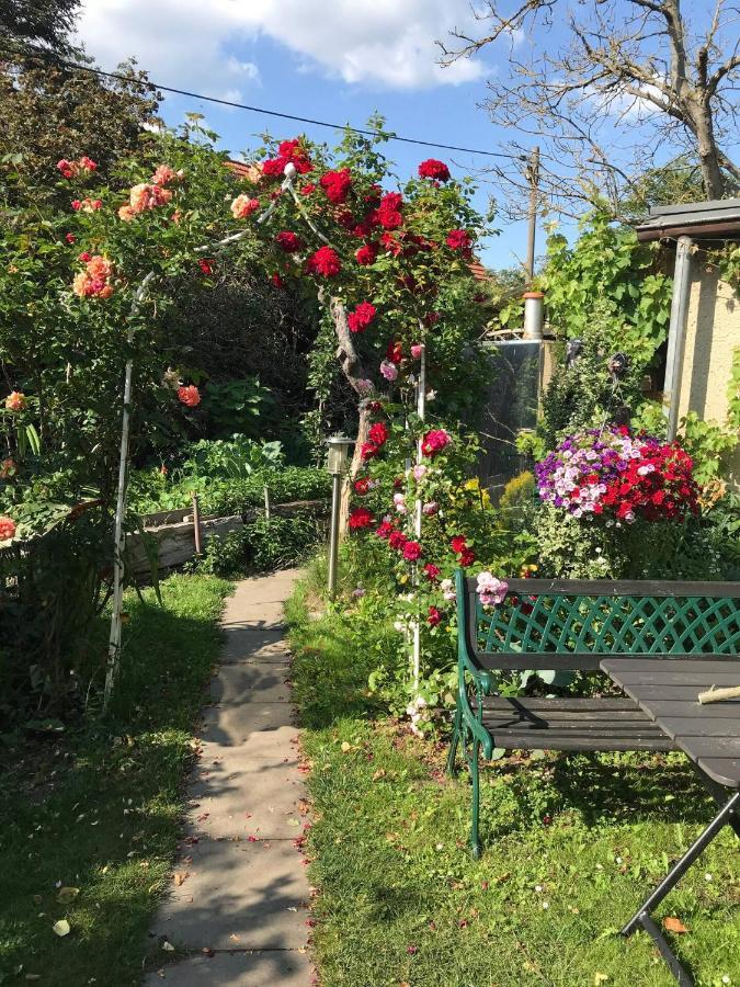 Wohnen Im Eulengarten Oranienburg Exterior foto